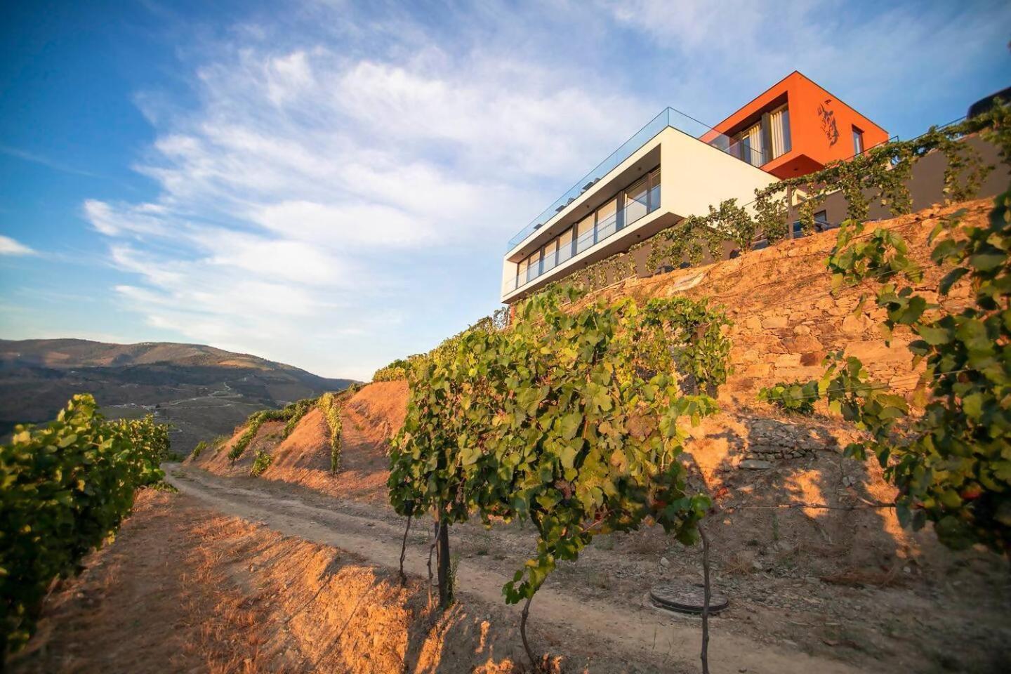 Quinta Vale De Lobos Bed & Breakfast Folgosa  Eksteriør bilde